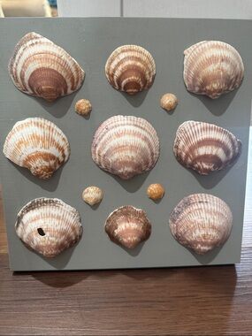 Seashell Wall Art Panel in Neutral Brown and Cream